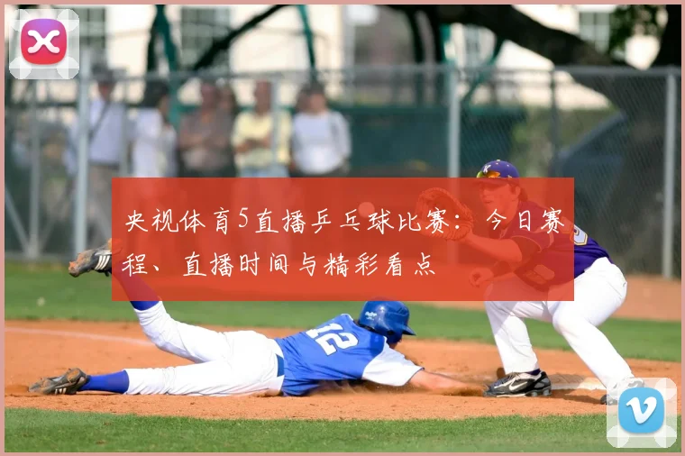 央视体育5直播乒乓球比赛:今日赛程、直播时间与精彩看点