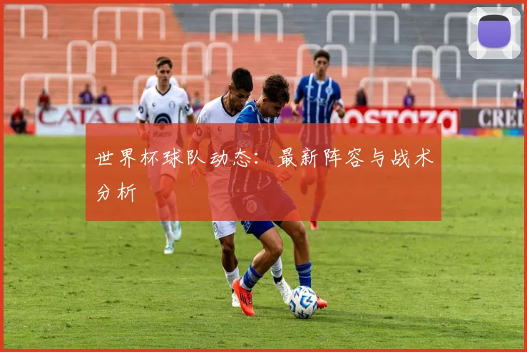 世界杯球队动态：最新阵容与战术分析