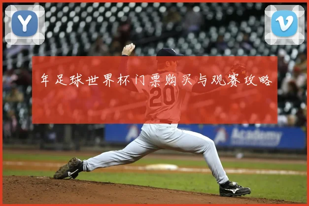 年足球世界杯门票购买与观赛攻略